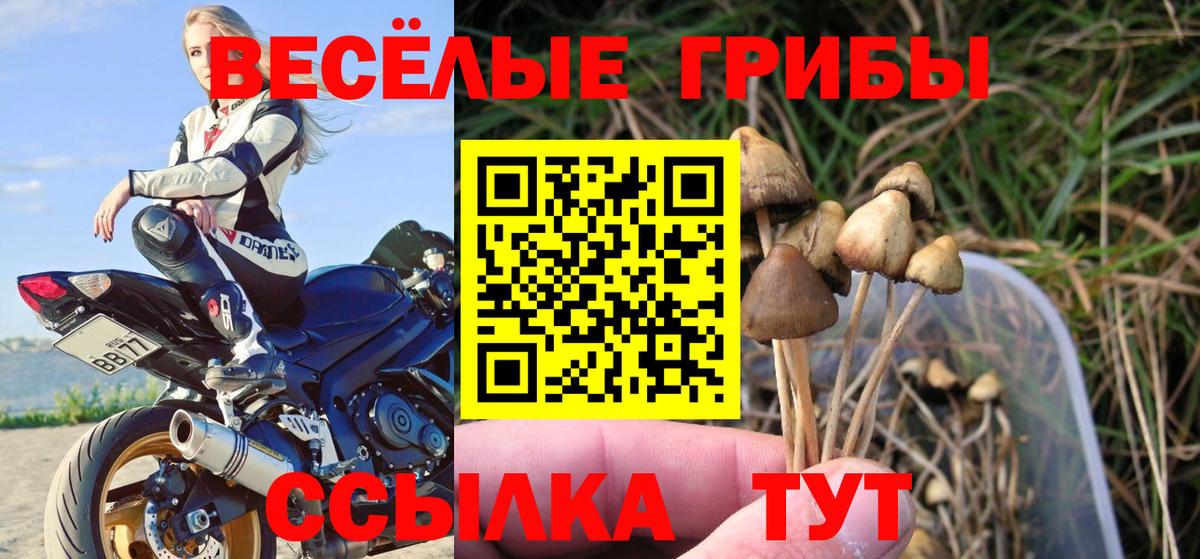 Псилоцибиновые грибы мицелий  Псилоцибиновые грибы ЛСД  Лесосибирск  Вход с VPN 